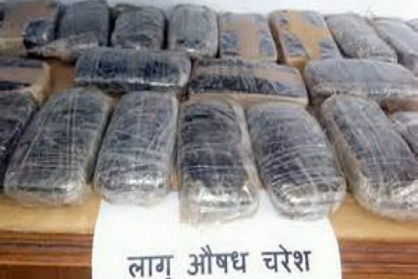 कञ्चनपुरको बेलौरी नगरपालिकाबाट बाइस किलोग्राम चरेश बरामद