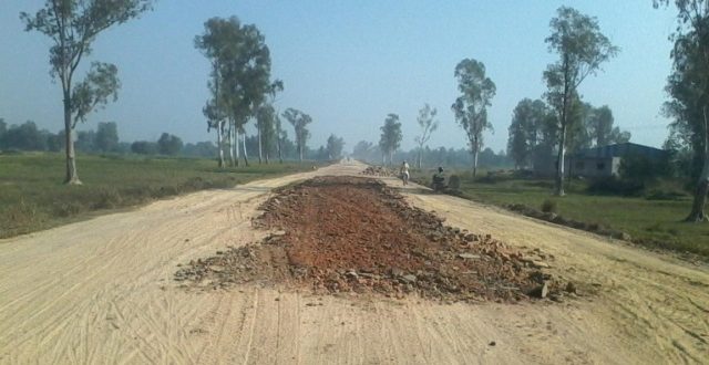 सडकको बीचमा भएको रुखका कारण कालोपत्रे हुन सकेन