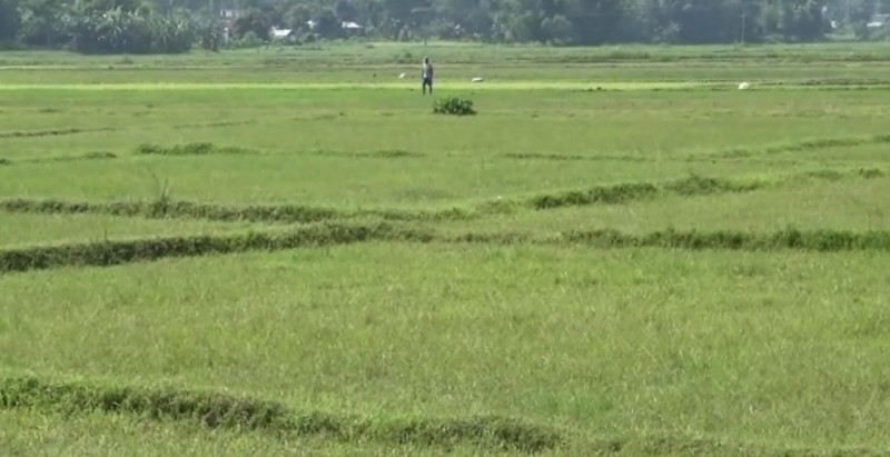 अतिक्रमित सार्वजनिक जग्गा फिर्ता गर्न ताकेता