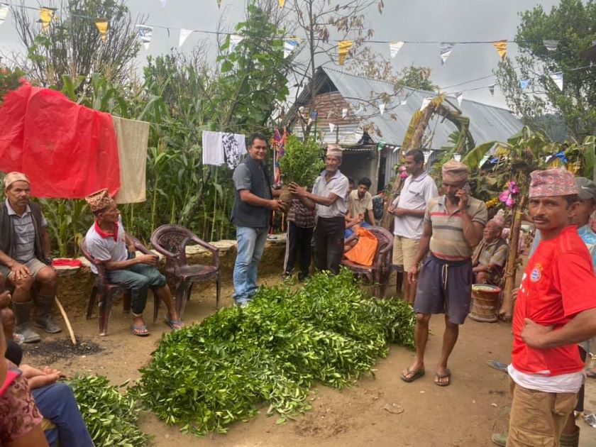 हरिनास गाउँपालिकाले ललही गाउँलाई सुन्तला पकेट क्षेत्र घोषणा गर्यो