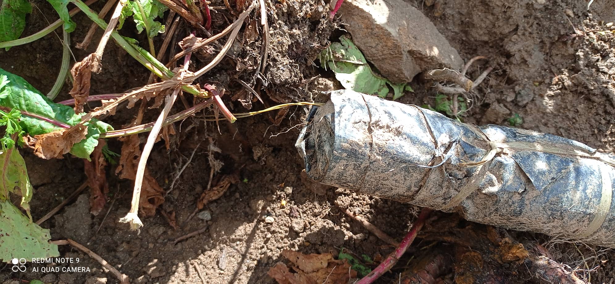 सेनाद्वारा पाइप बम डिस्पोज