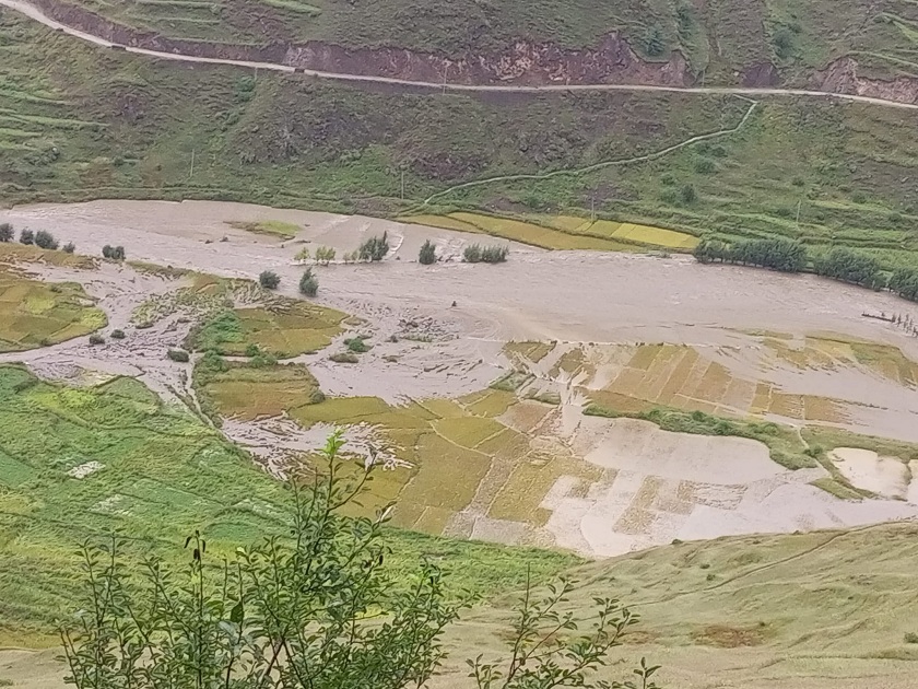 बाढीपहिरोले जुम्लामा सबैभन्दा धानबालीमा क्षति