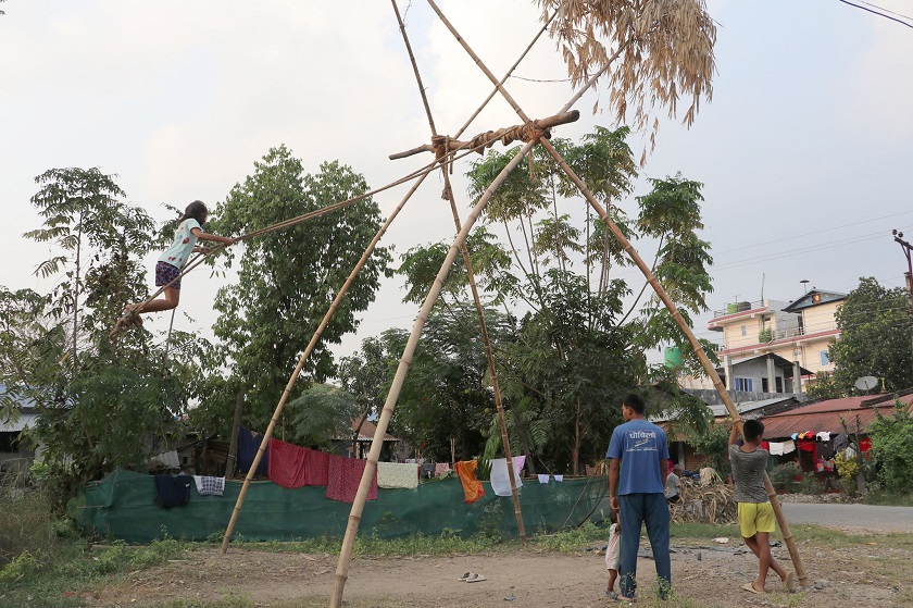 दसैँमा हराउँदै लिंगे पिङको चलन, गाउँका डाँडा र चौतारा सुनसान