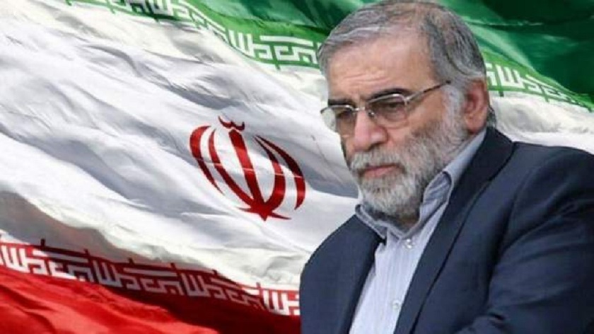 इरानी परमाणु वैज्ञानिकको हत्या रिमोर्ट कन्ट्रोल मेसिनगनबाट : रिपोर्ट
