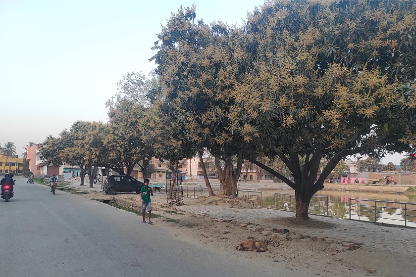 राजविराज–सखडा खण्ड मर्मत गरिँदै