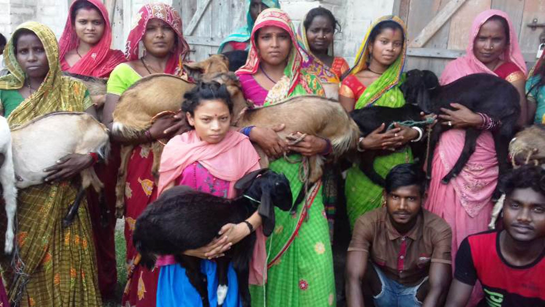 काेशी गाउँपालिकाका २५ परिवारलाई बाख्रा र बङ्गुर वितरण