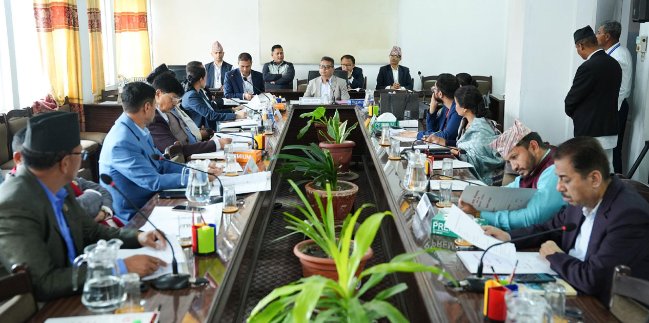 निजी क्षेत्रको मनोबल अभिवृद्धि गर्न अर्थ समितिमा सांसदहरूको सुझाव