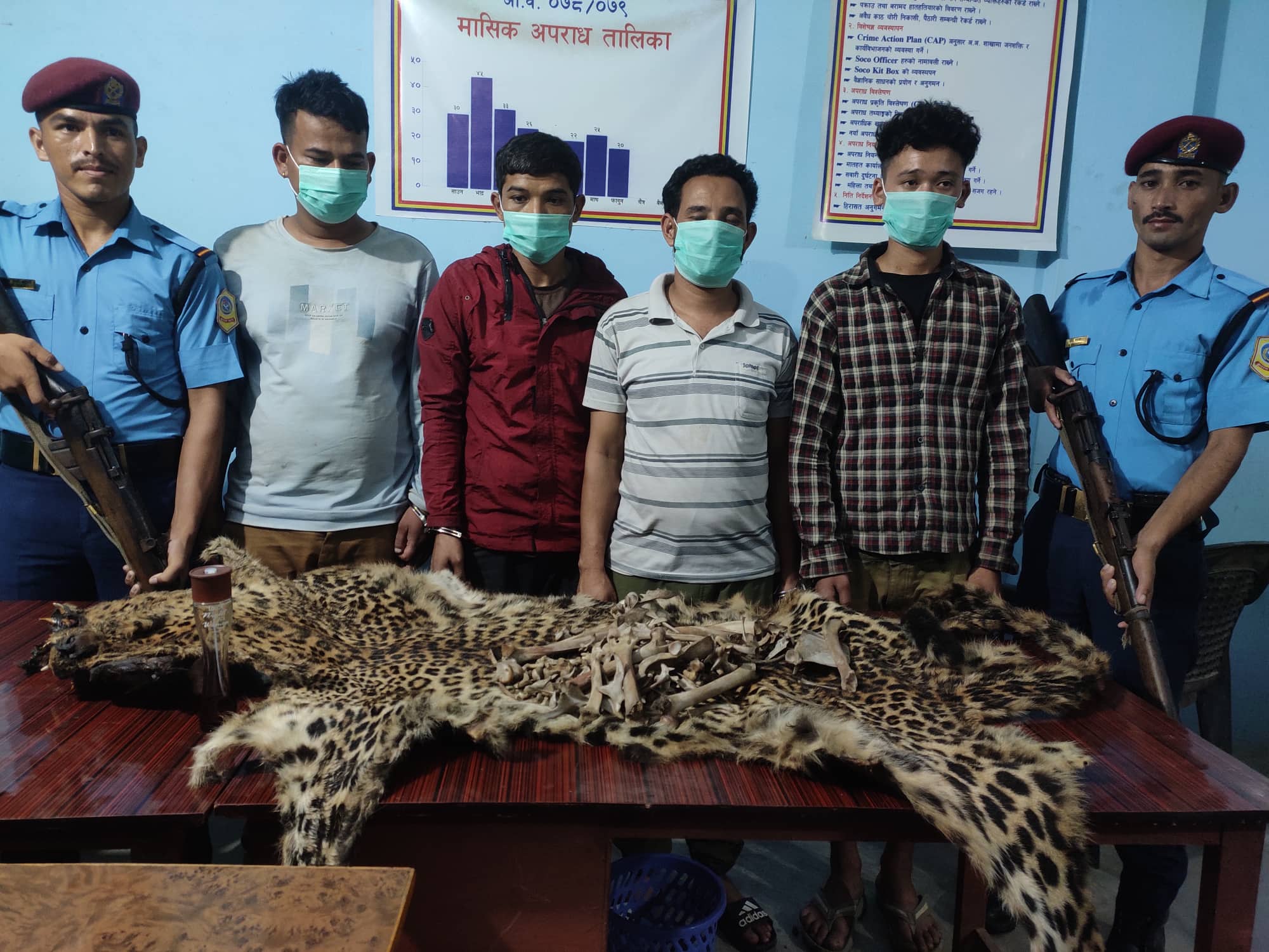 बाघको छालासहित  चार जना पक्राउ