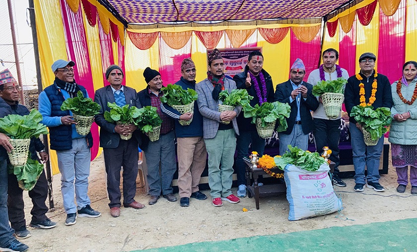 पाहुनालाई चोयाको डोकोमा रायोको साग  उपहार