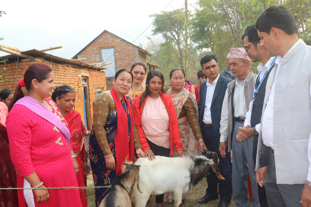 व्यावसायीकतामा जोड दिन ‘बाख्रा उपहार’