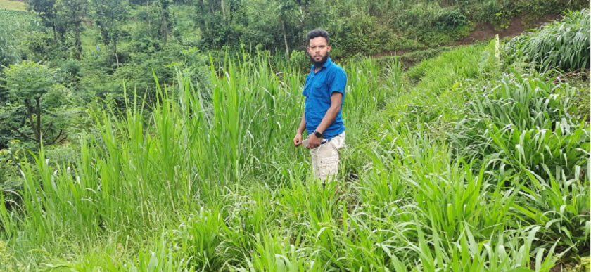 ‘सम्भावना खाडीमा होइन, झाडीमा भेटिन्छ’