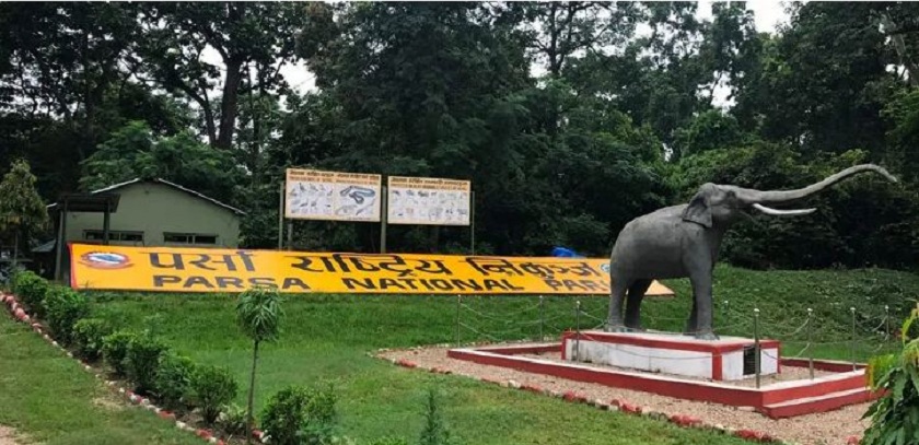 जरायो चोरी सिकारी प्रकरणमा ४९ जना कसुरदार