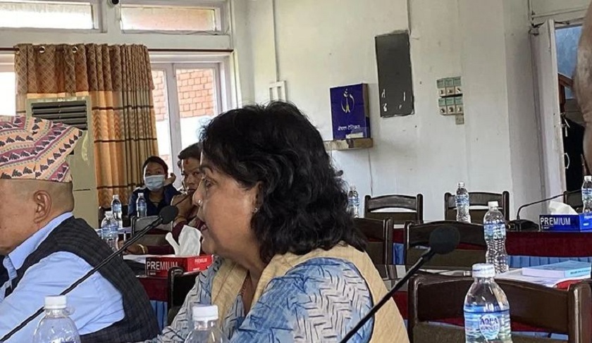 नेपाली कांग्रेसकी सांसद मञ्जु खाणले लेखा समितिमा के भनिन् ?