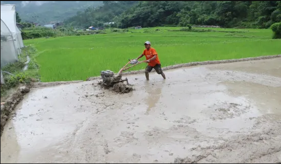 गाउँगाउँमा पुग्यो ट्र्याक्टर, गोरु पाल्न छोड्दै किसान