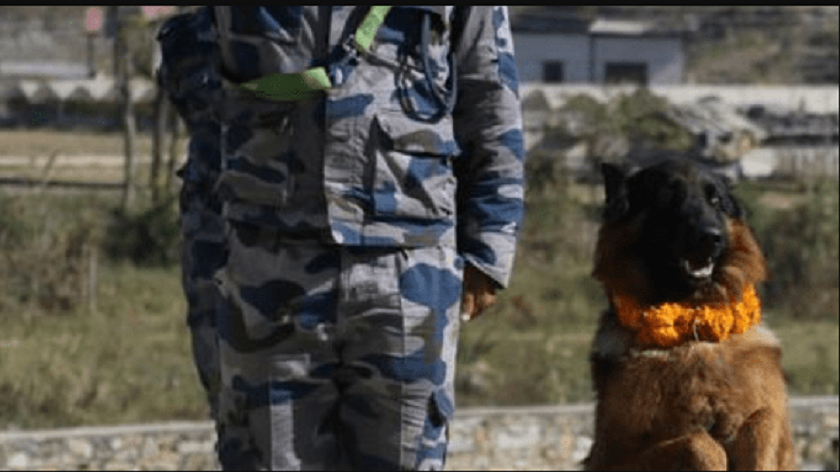 तिहारमा सशस्त्र प्रहरीद्वारा कुकुर पूजा