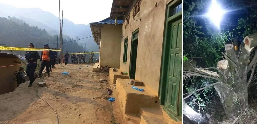 बुद्धचित्तको रुख काटेको घटनामा सोधपुछका लागि थप एक जना नियन्त्रणमा