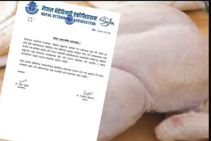 ब्रोइलर कुखुराको रोग मानिसमा लाग्न सक्ने तथ्यमा कुनै सत्यता छैन : भेटेरिनरी एसोसिएसन