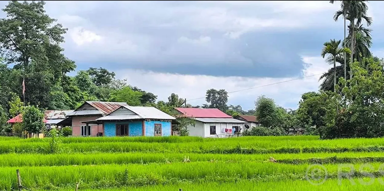 व्यावसायिक कृषि क्षेत्रमा आकर्षित बालचन खोरियाका किसान