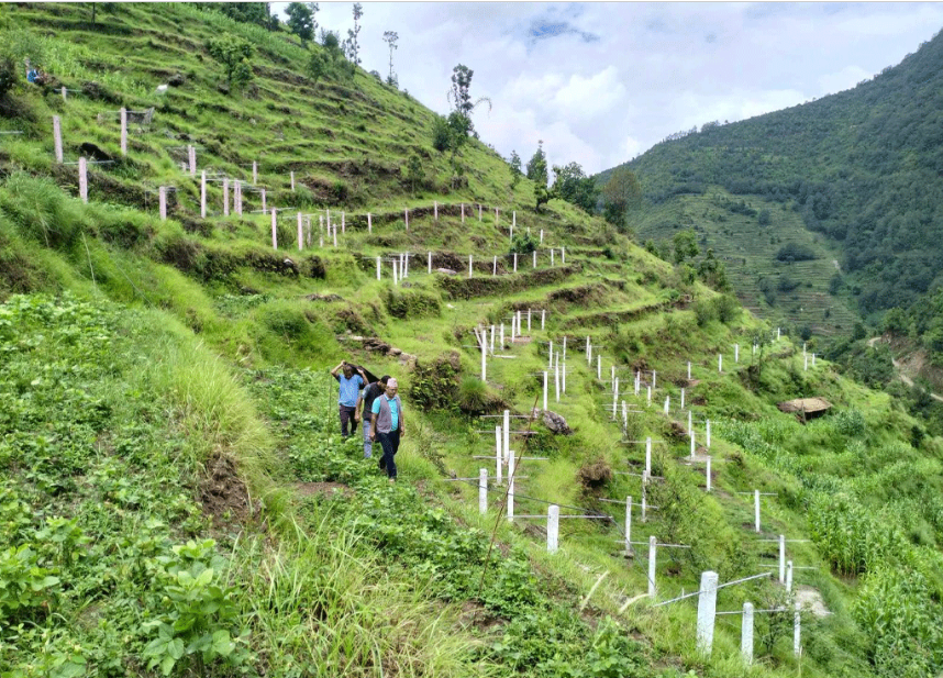 चक्लाबन्दीपछि बाँझो जग्गा हराभरा