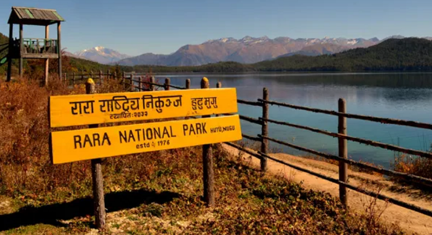 रारामा देखिए कालो चितुवा र लोखर्के