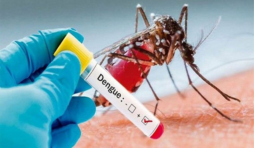 एकैदिन डेंगुका १ हजार ५१ जना संक्रमित थपिए, सतर्कता अपनाउन स्वास्थ्य मन्त्रालयको आग्रह