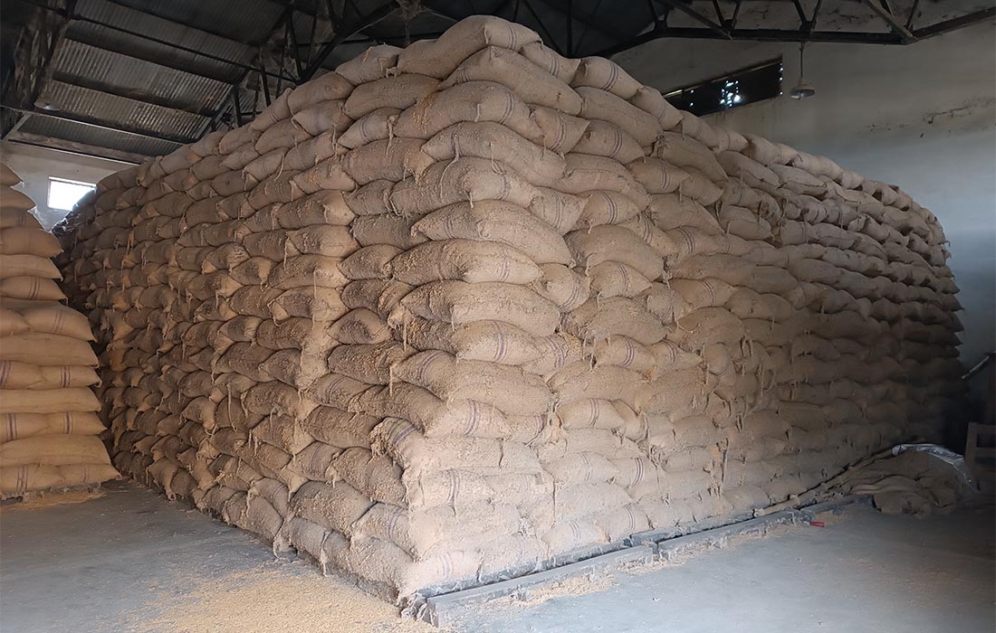  किसानबाट ११ हजार क्विन्टल धान खरिद