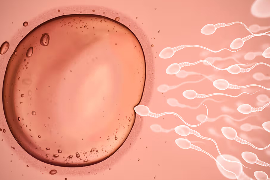 डिम्ब प्रकरणमा ७ जनालाई प्रतिवादी बनाउनुपर्ने रायसहित प्रहरीले बुझायो प्रतिवेदन