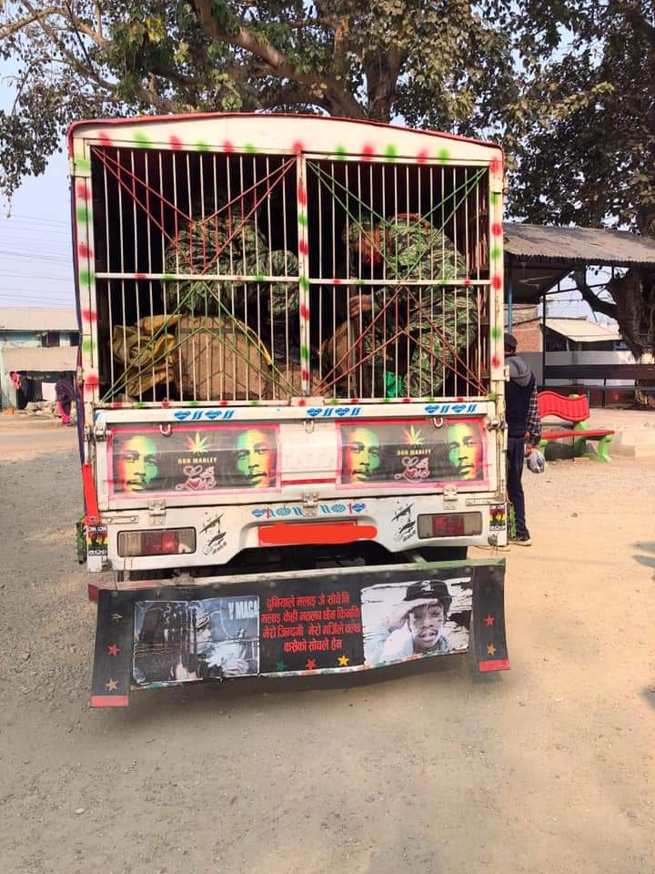 राप्तीमा २ सय २५ क्युफिट काठ सहित ३ जना पक्राउ