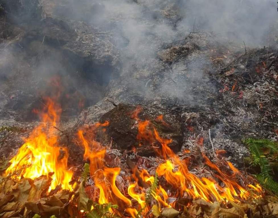 आगलगी हुँदा जलेर ६ घर र गोठ नष्ट