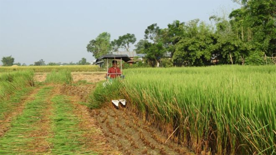 गरिमा धानका पीडित किसानले पाए क्षतिपूर्ति