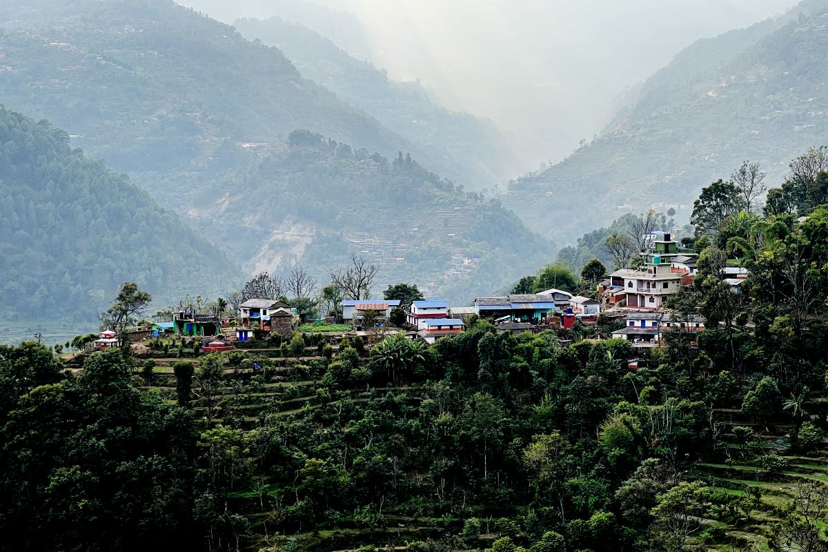 बसाइँसराइले रित्तिदै गाउँ, बढ्यो बाँदर आतंक