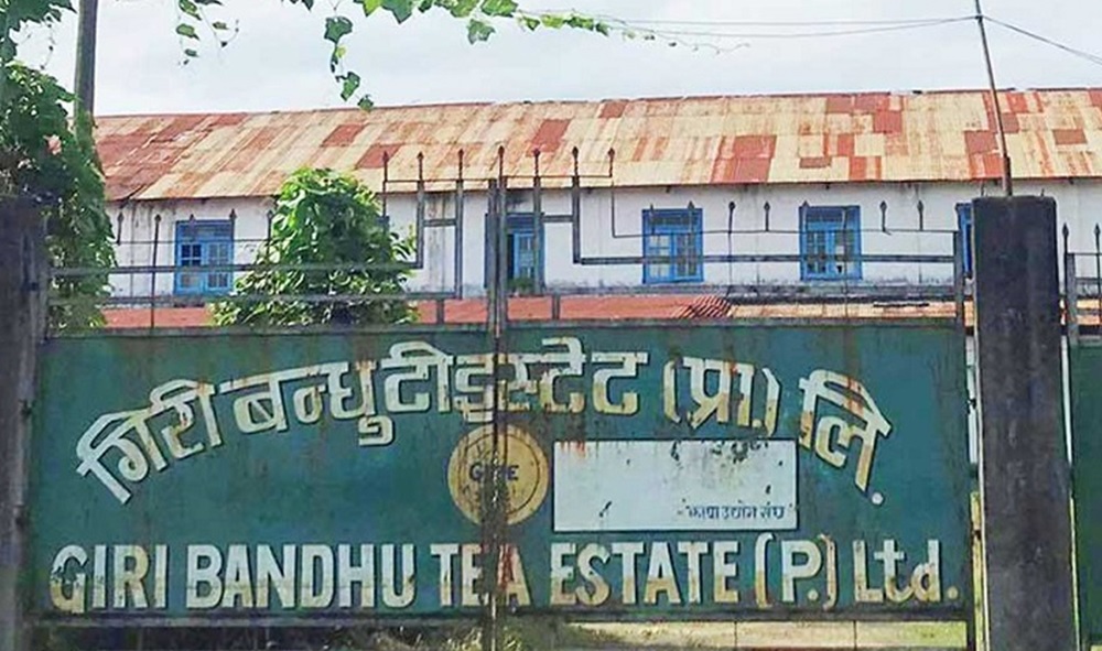 गिरीबन्धु टी-इस्टेटको गेटमा कुकर बम र पर्चा