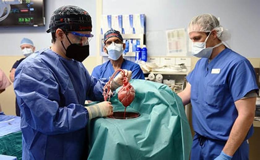 अमेरिकामा एक व्यक्तिमा सुँगुरको मुटु प्रत्यारोपण, जोगियो ज्यान