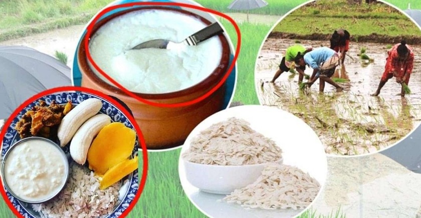 असार १५ मा किन खाइन्छ दही चिउरा ? यस्तो छ यस्को महत्व.…