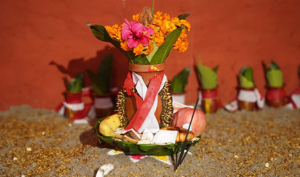 हनुमानढोकाको दशैंघरमा राखियो जमरा