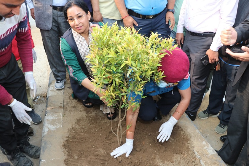 भरतपुर महानगर प्रमुख रेनु दाहालद्धारा बाईपास सडकमा वृक्षरोपण