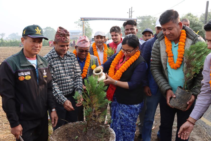 भरतपुर महानगरको ग्रामिण क्षेत्र केन्द्रित वृक्षरोपण सुरु