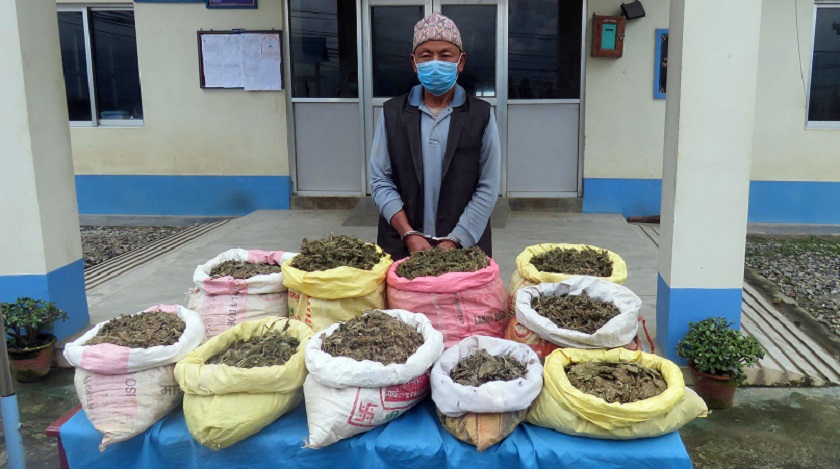 पन्ध्र केजी गाँजासहित एक पुरुष पक्राउ