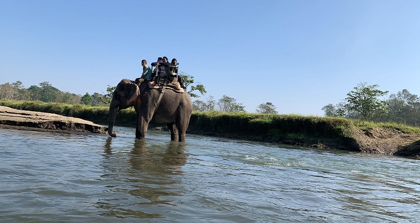 हात्ती चढेर घुम्दै पर्यटक