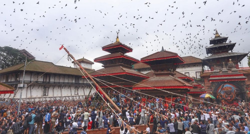 इन्द्रजात्राको लिंगो ठड्याइयो