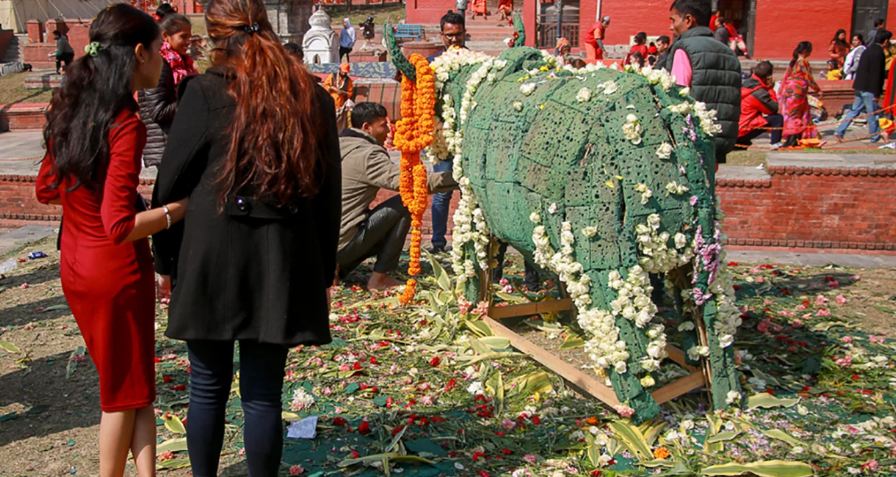 पशुपति क्षेत्रमा फूलमाला चोरिँदै, फोहर थुप्रिँदै