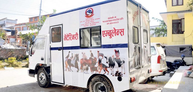 डेढ करोडमा किनेको भेटेरिनरी एम्बुलेन्समा एउटा भैँसी पनि अटेन