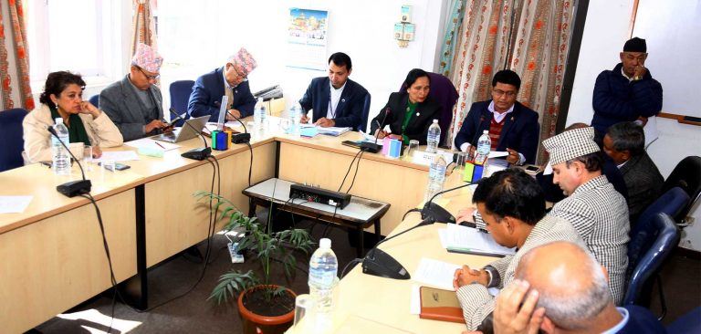 वाइडबडी विमान खरिद विवाद : छानबिन गर्न संसदीय उपसमिति गठन