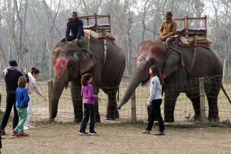 सौराहाको हात्ती सफारी व्यवस्थित गर्न माहुतेलाई प्रशिक्षण