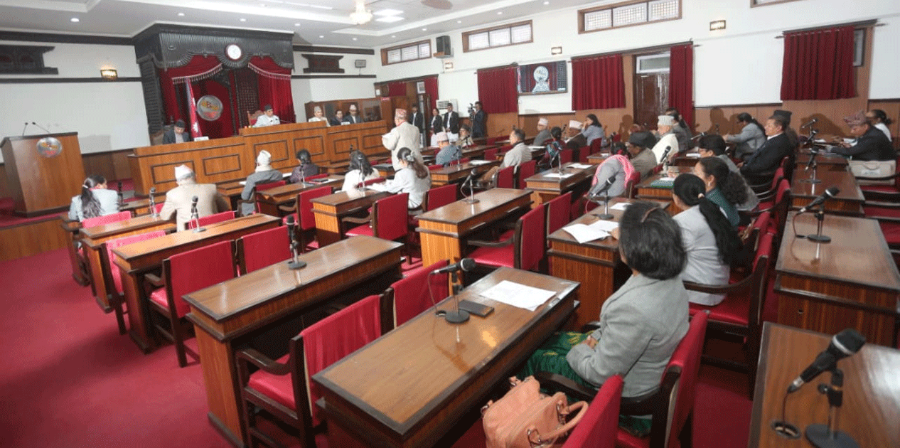 राष्ट्रिय सभाको बैठक जारी