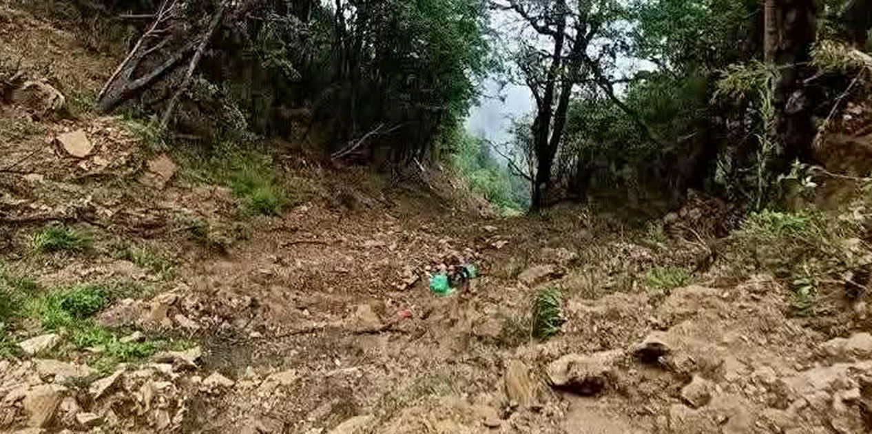 रोल्पा जिप दुर्घटना अपडेट : मृतकको संख्या २० पुग्यो