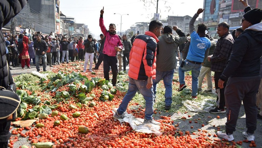 चितवनका तरकारी उत्पादक किसानहरुले सडकमै तरकारी फ्याँकेर गरे विरोध