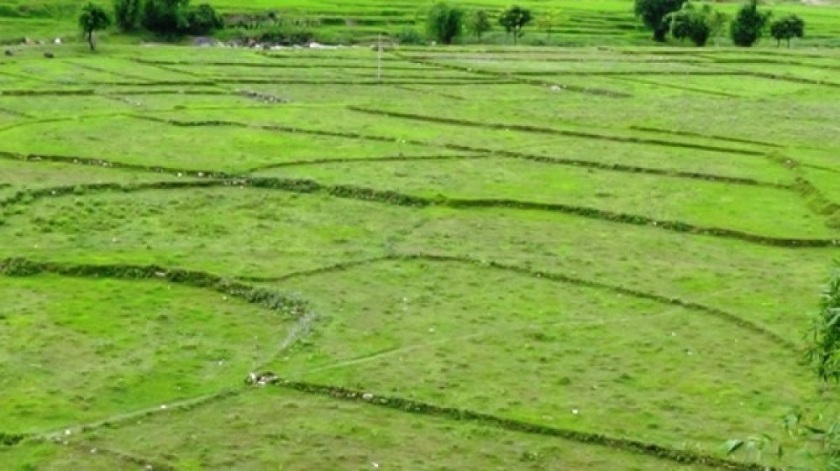 जनशक्ति अभावमा खेतीयोग्य जमिन बाँझै