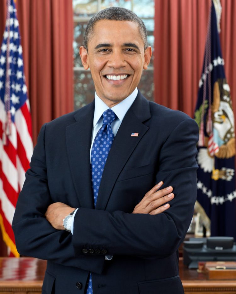 प्राध्यापन र समाजसेवामा ओबामा