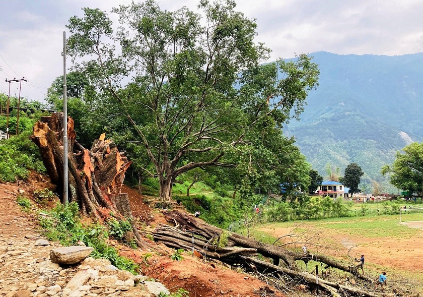 विकासले मासियो सम्पदा